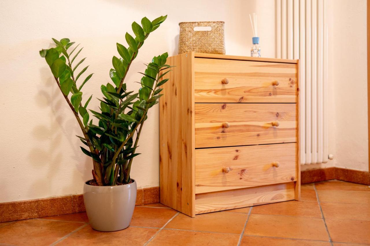 10 Minuti Dal Mare⋆⋆⋆⋆⋆ Borgo Storico Ligure Apartment Lingueglietta Bagian luar foto